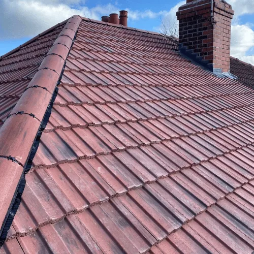 Recent roof project